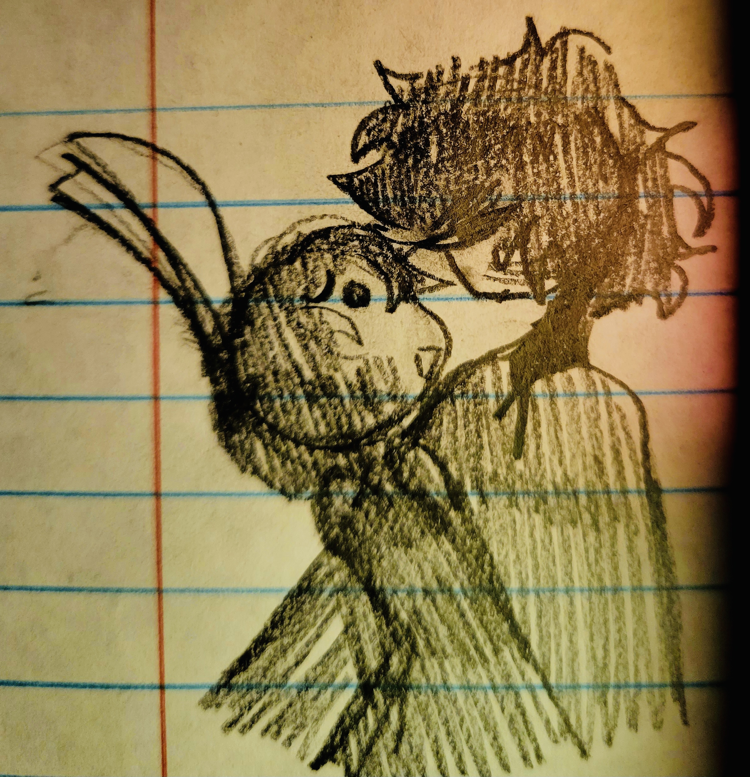 Kitten 18
